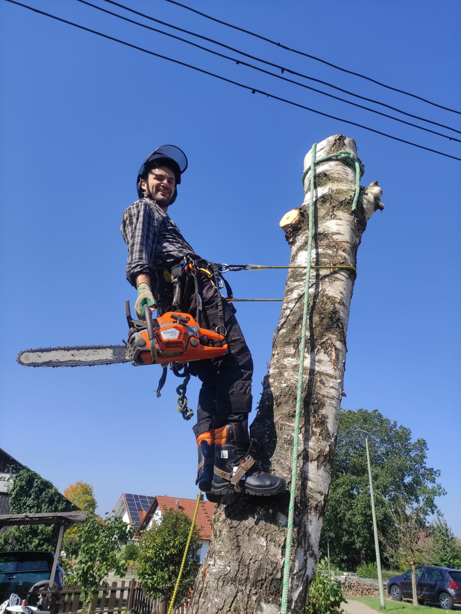Beschreibung des Bildes